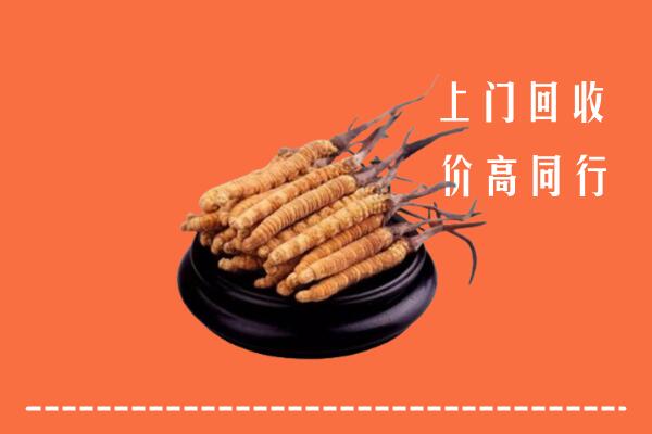 高价求购：荆门市掇刀区回收散虫草