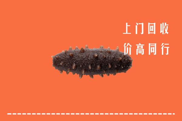 高价求购：荆门市掇刀区回收海参