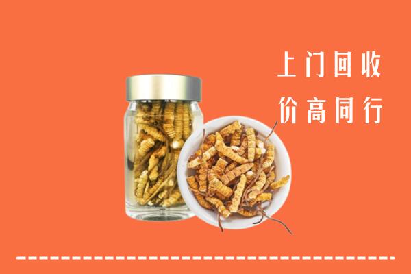 荆门市掇刀区回收冬虫夏草
