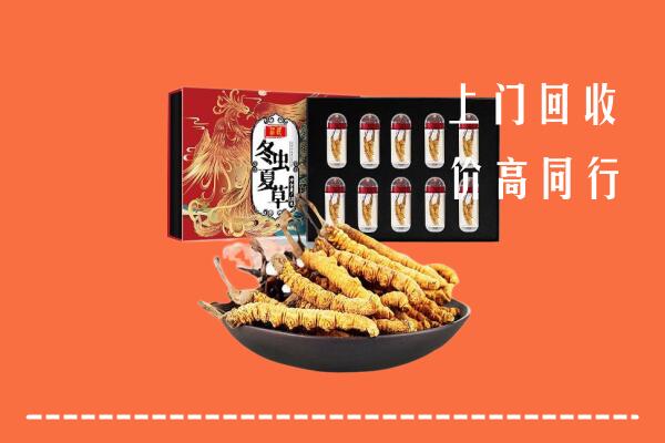 荆门市掇刀区回收虫草